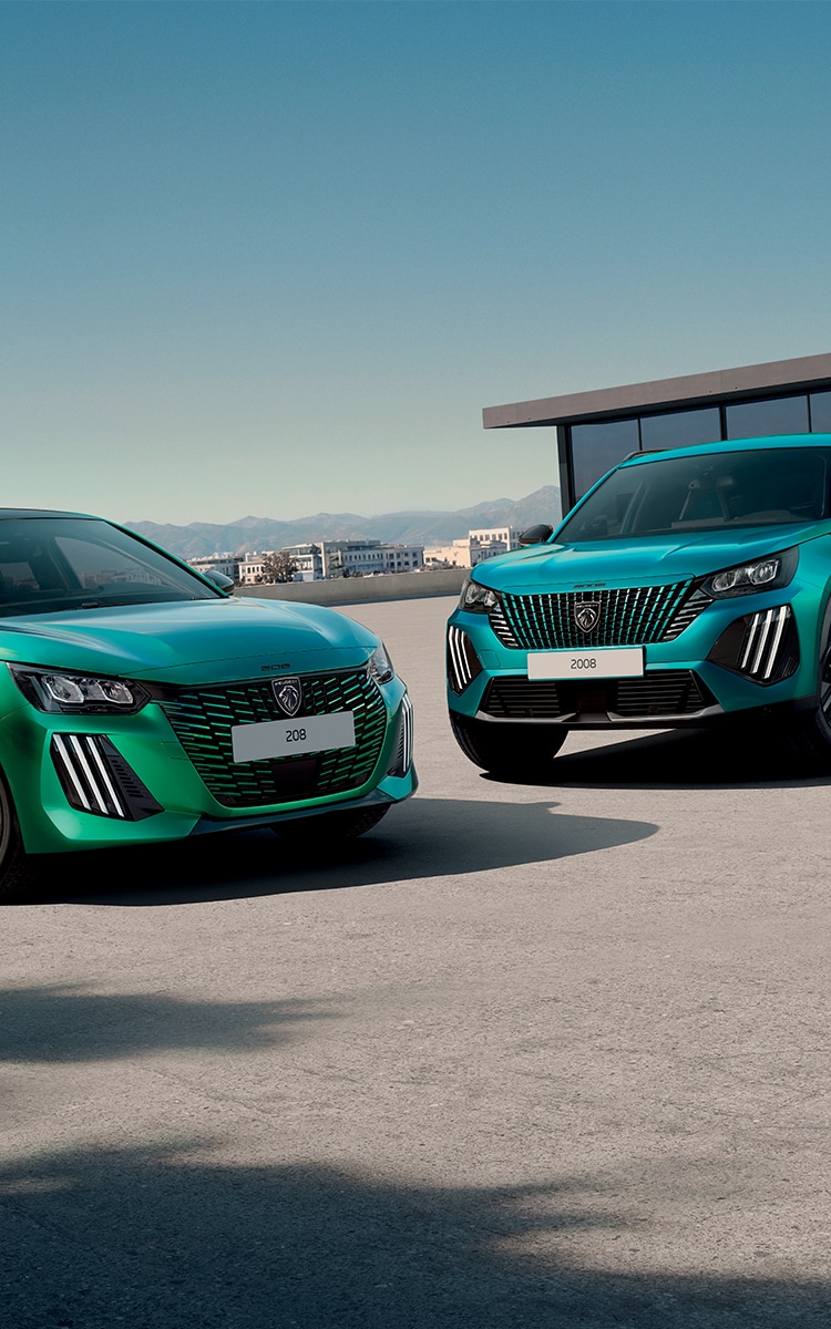 208 & 2008 ENVY