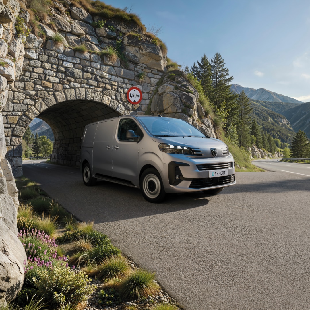 PEUGEOT E-EXPERT height limited to 1.90 m